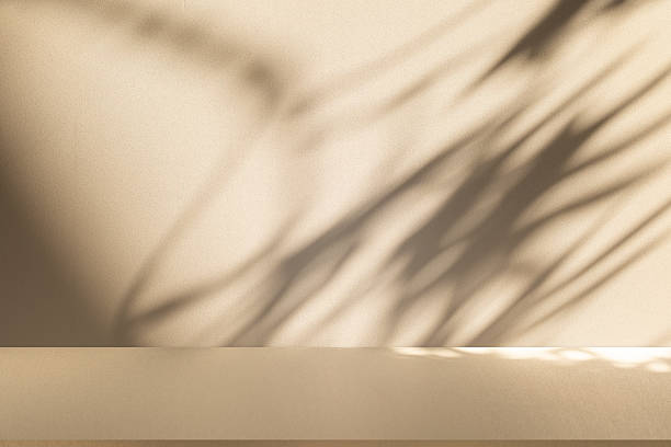 istock Studio style background wall decoration presentation uses white and beige tones. with shadows cast from a nearby window, concept creating a decorative 2219570922