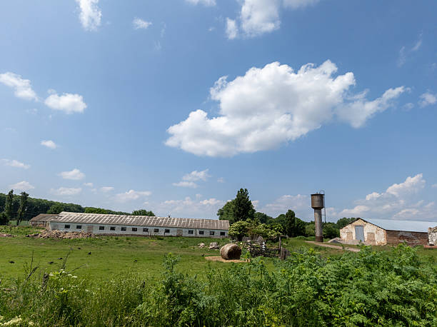 istock Large white building with a water tower and trees 2219573938