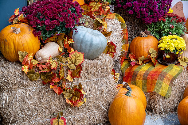 istock Festive Autumn Display with Pumpkins and Flowers 2219578444