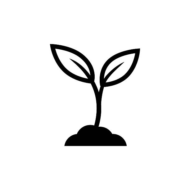 Simple plant sprout icon with two leaves and soil Minimalist black silhouette of a young seedling growing from the ground. young green plant seedling growing in a soil flat vector stock illustrations
