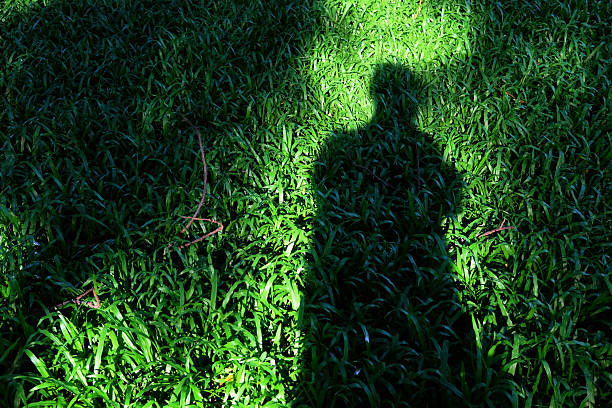 istock shadow of people 2219584735