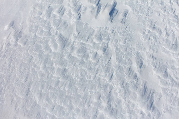The snow is a bright white color and it covers the ground in a thick layer. The snow is so deep that it almost reaches the ground, creating a beautiful and serene winter landscape