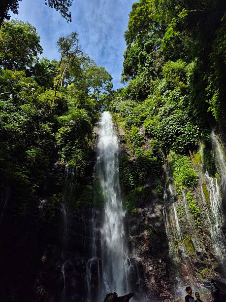 istock Green grass on the river . Lawe Benowo waterfall 2219590368