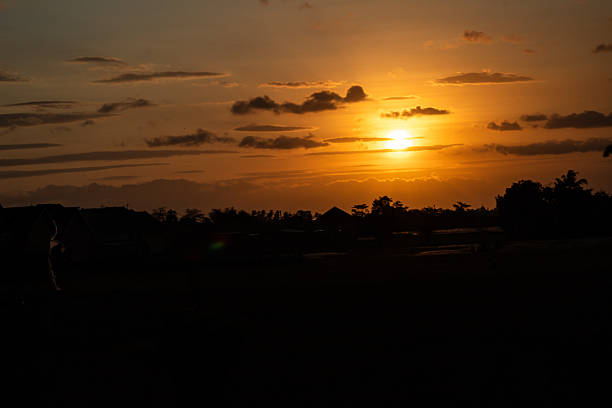 Golden Sunset Over Rural Landscape Silhouette