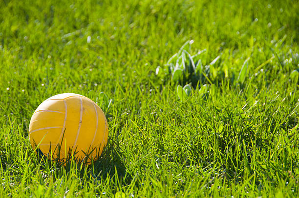 Rugby Ball Grass and Sky
