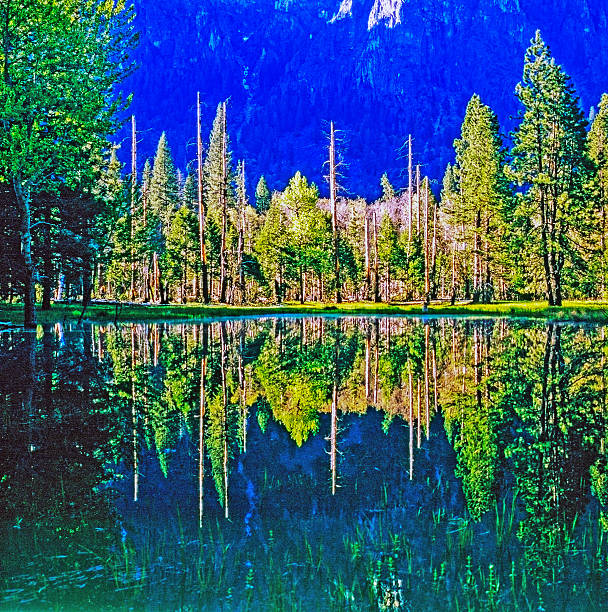 Reflection in Yosemite National Park, California
