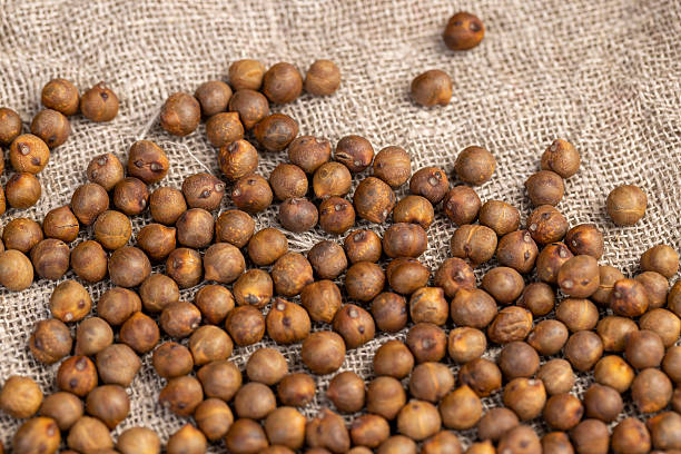 istock chickpeas on the tablecloth , not boiled chickpeas are on the table with a linen tablecloth 2219604243