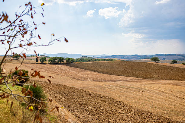 istock Storm Over the Rolling Hills of Val d’Orcia 2219604743