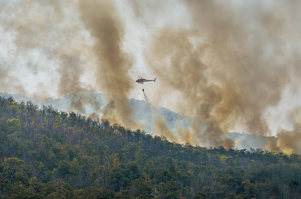 istock Fire fighting helicopter carry water bucket to extinguish the forest fire. 2219608726