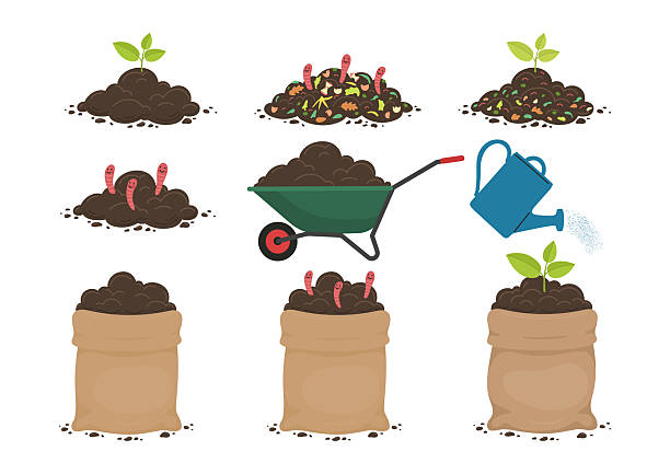Compostables Drawing 90+ Compostable Items Stock Illustrations, Royalty-Free Vector Graphics ...