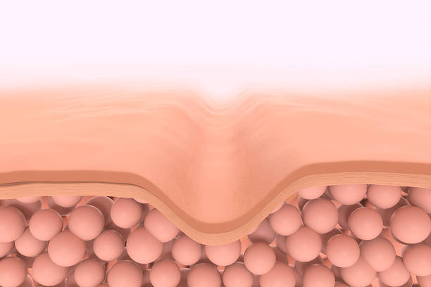 istock Saggy skin layer and skin cells, Cosmetics solution concept, 3D rendering 2219609945