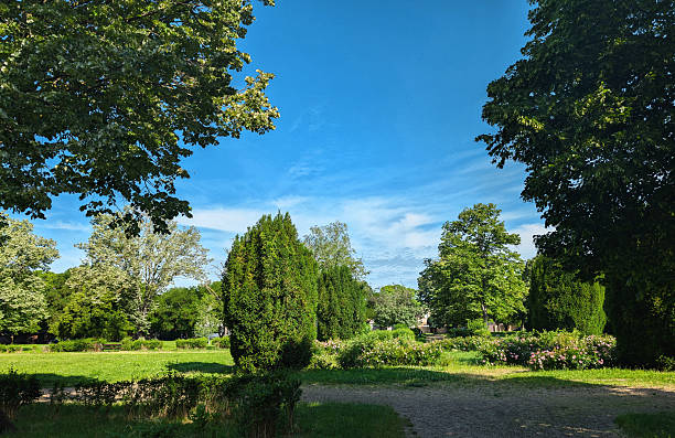 A peaceful park scene featuring lush green trees framing an open grassy area under a bright blue sky with white clouds. The natural landscape includes mature trees, manicured grounds, and a gravel path creating an inviting outdoor space.