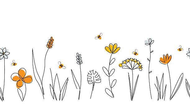 Basic RGB Vector nature seamless border with honey bees, wild herbs and flowers on white. Continuous line drawing background. Doodle hand drawn style floral illustration. meadow stock illustrations