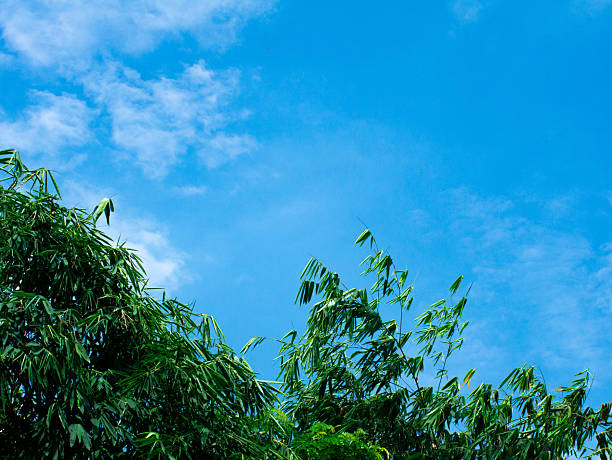 Cleat weather Blue Sky with White Clouds and gentle wind.