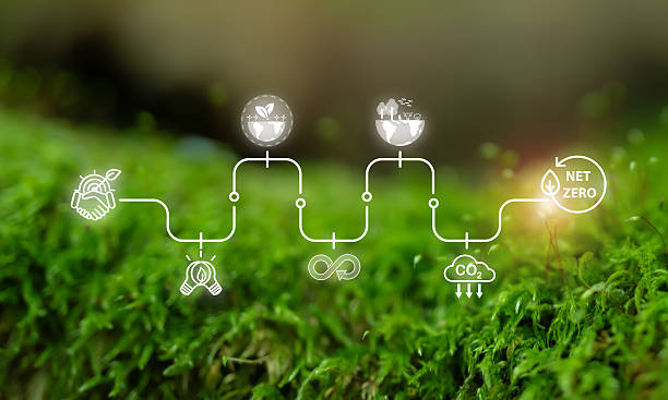istock Journey to Net Zero,  Sustainability concept. The stages of achieving net zero emissions, featuring icons representing sustainability, renewable energy, circular economy and carbon reduction. 2219617660