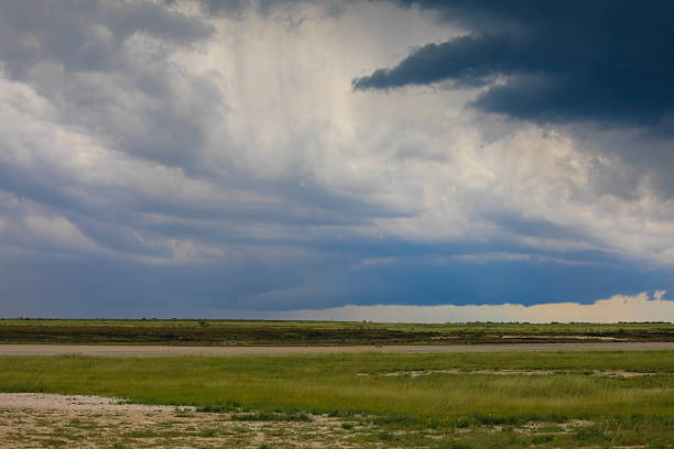 Storm clouds and rain during the rainy season in Etosha National Park, Namibia, Africa. Dark clouds over the steppe. Tourism and vacation concept.