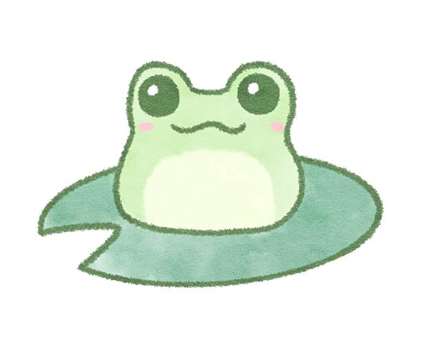 istock Clip art of loose frog 2219627815