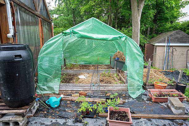 istock Vegetable greenhouse in backyard 2219628349