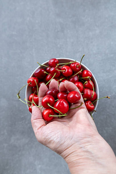 istock hand holding fresh red cherries above a bowl on gray background, top view 2219629428