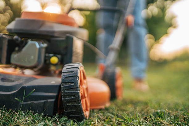 istock Gardener cutting grass with lawn mower in summer 2219630465