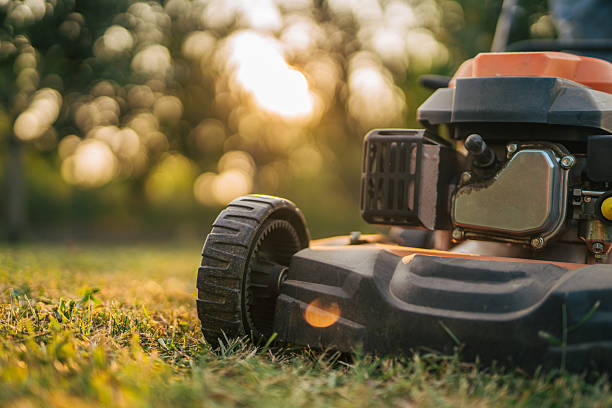 istock Lawn mower cutting grass in garden during sunset 2219630467