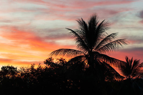 istock Golden tropical sunset in darwin 2219631242