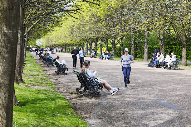 Aerial view of people in park