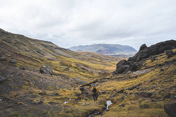 istock Lone hiker with backpack explores Iceland surreal volcanic highlands, where golden moss meets black lava rock under moody skiesâpure wilderness, untouched and epic 2219635107