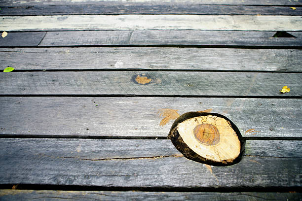 Close-up image of a wooden surface featuring a circular tree stump, highlighting natural textures and tones, perfect for nature and design projects.