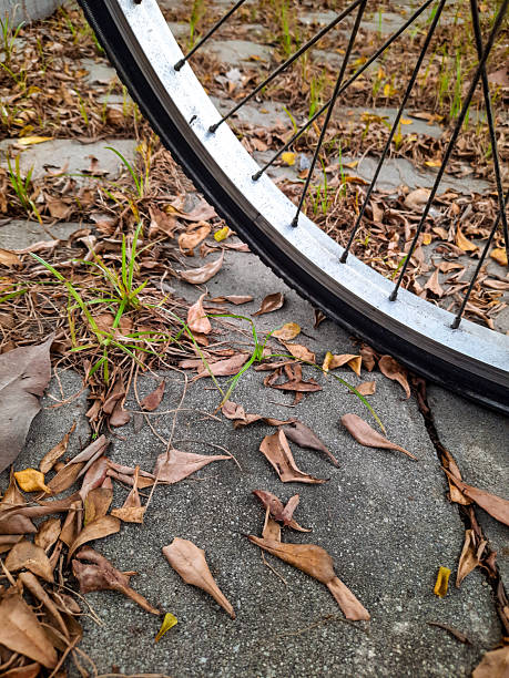 istock Close-Up of Bicycle Wheel on Dry Leaf-Covered Pavement 2219636462