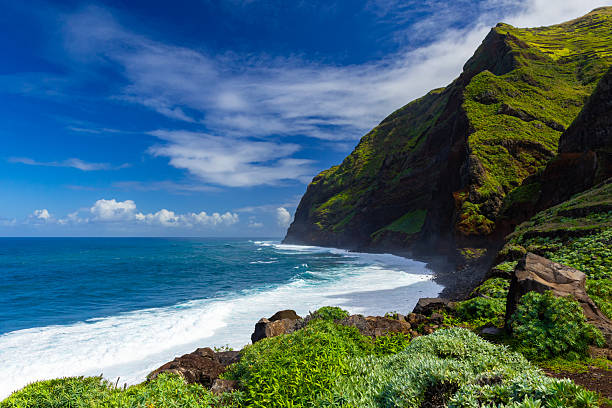 istock Coastal landscape with cliffs, beach and ocean under blue sky with clouds 2219642311