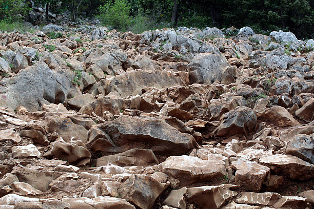 Rocky Hiking Trail in Mountainous Forest Terrain