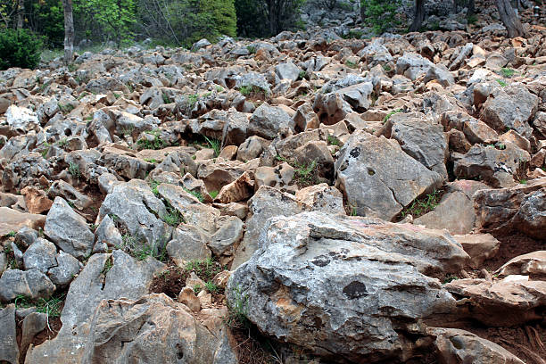 Rocky Hiking Trail in Mountainous Forest Terrain