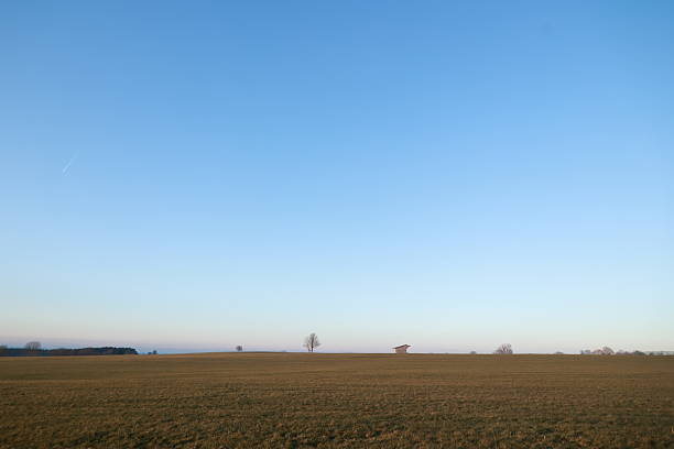 Landscape- trees in green field with Moon