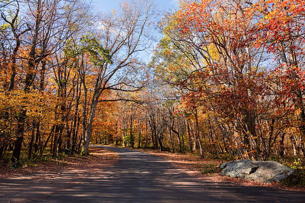 istock New England Autumn Colors Traveling Pathway 2219649775
