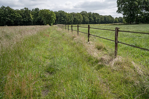 Lush green meadow separated by an electric fence with forest in background on a cloudy day