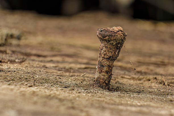 A very rusty nail nailed to a wooden board; stacked macrophotography captured in a farm in the eastern Andean mountains of central Colombia, near the Iguaque natural reserve.