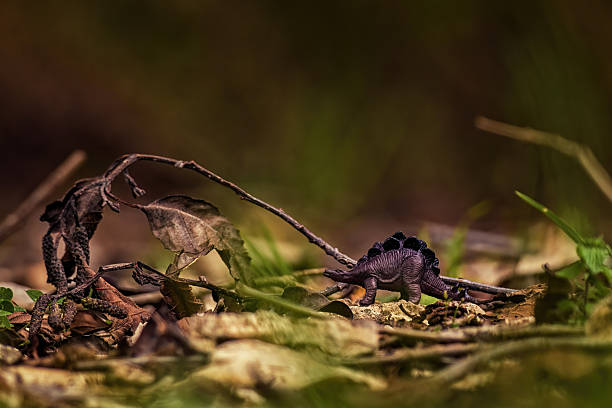 A plastic stegosaurus figurine in a rocky forest; scene created on a gravel farm road in the eastern Andean mountains of central Colombia, near the Iguaque natural reserve.