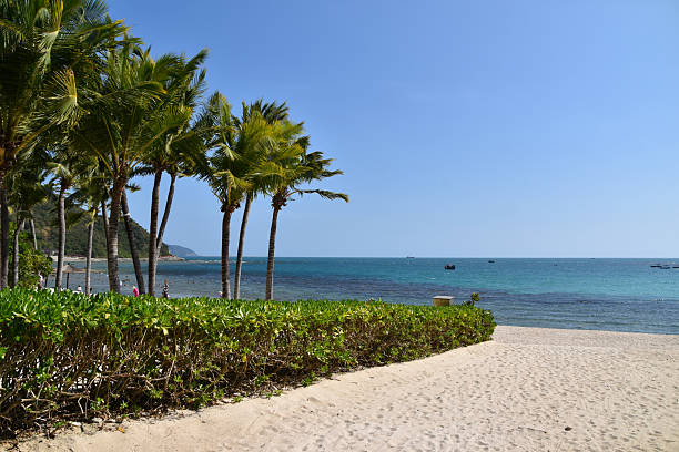 istock Xiaodonghai Beach in Sanya with palm trees and blue water 2219656948