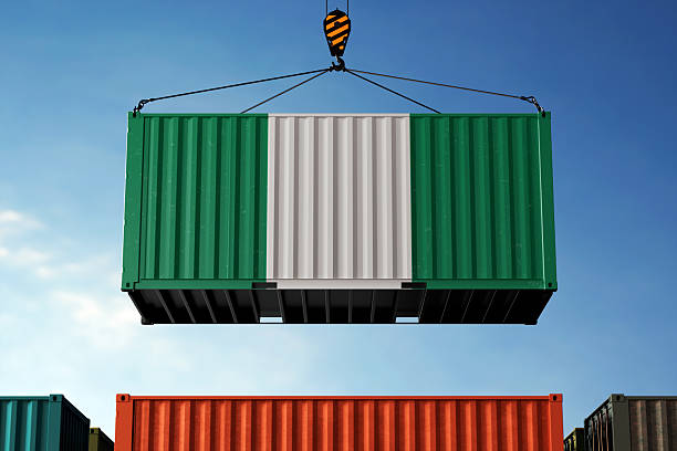 istock Nigeria trade cargo container hanging against clouds background 2219658508