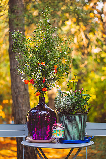 istock Flower arrangement in the garden 2219659100