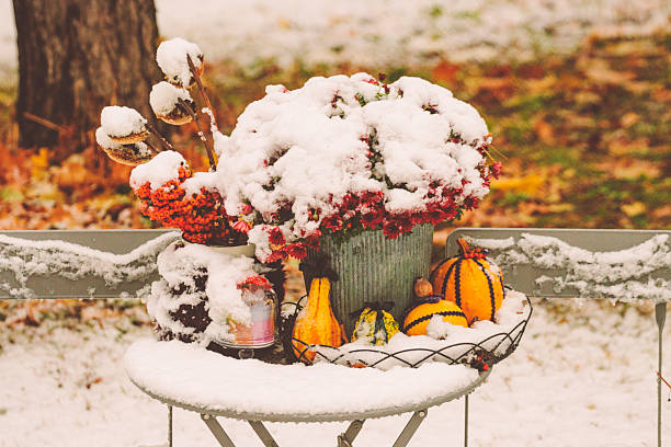 Flower arrangement in the garden