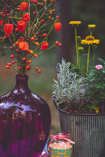 istock Flower arrangement in the garden 2219659175