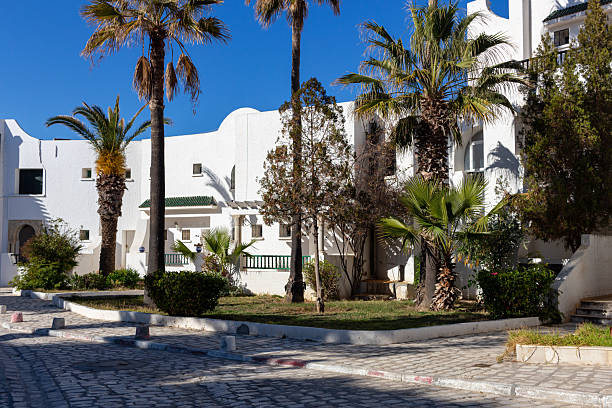 istock A sunny scene shows white buildings framed by palm trees 2219659801