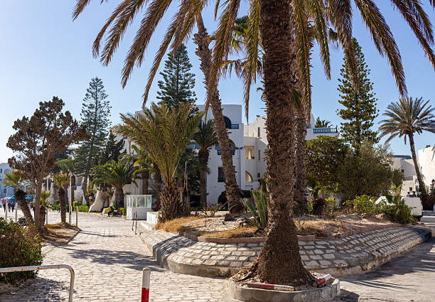 istock A sunny scene shows a sandy path with palm trees and various vegetation 2219659804