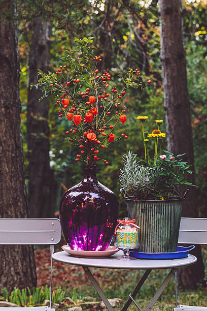 istock Flower arrangement in the garden 2219659806