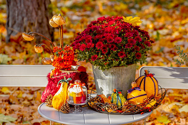 istock Flower arrangement in the garden 2219660462