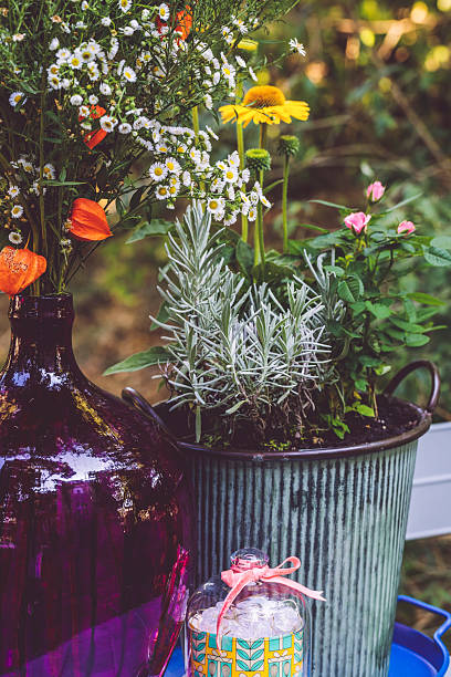 istock Flower arrangement in the garden 2219660520