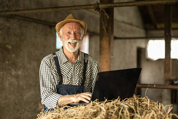 istock Elderly Farmer Working on Laptop in Barn 2219662224