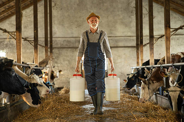 istock Elderly Farmer Carrying Milk Containers 2219662226